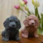 BIG COCKER SPANIEL DOG CANDLE